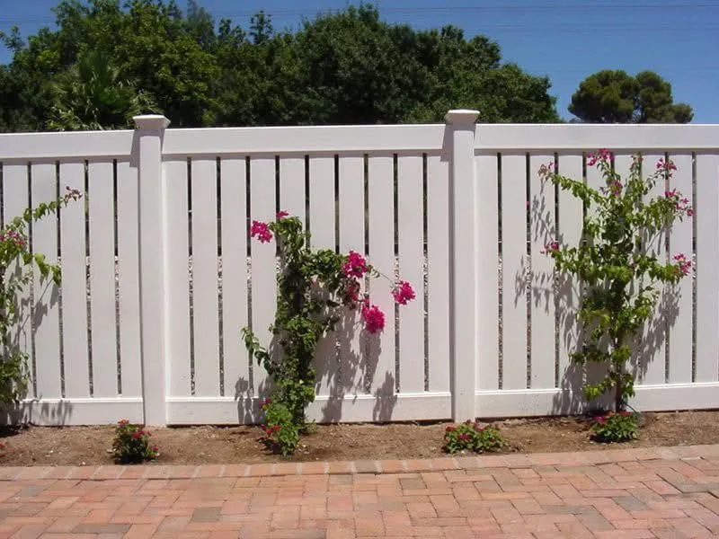 White vinyl privacy fence with climbing roses in a Central Illinois garden